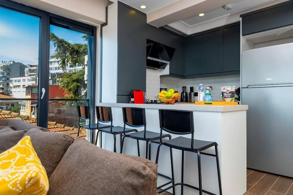 Bosphorus View In Superior Flat Apartment Istanbul